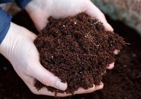 Azerbaijan resumes organic fertilizer imports from four countries 