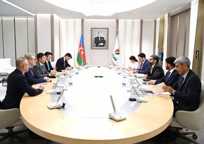 SOCAR обсудила с японской компанией сотрудничество в энергопереходе