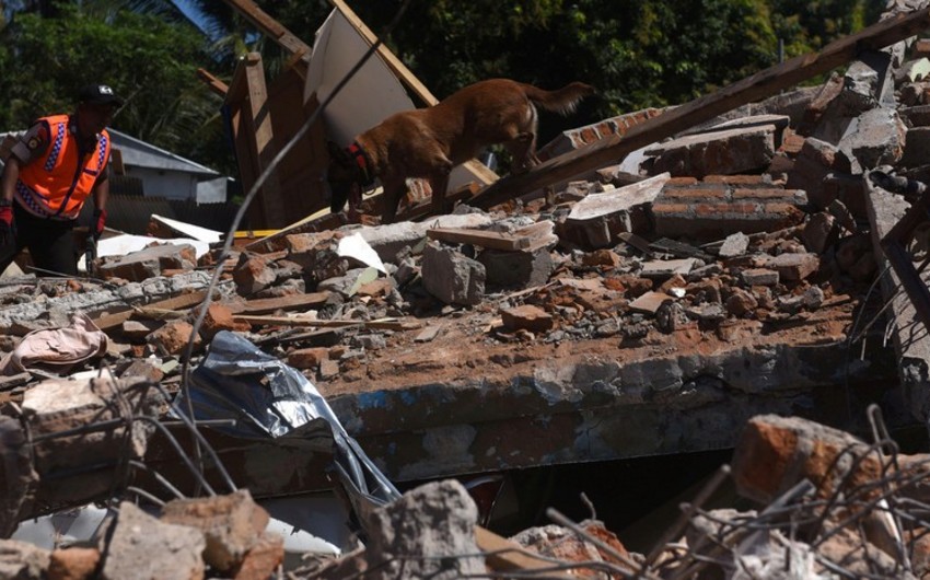 Число погибших в результате землетрясения в Индонезии достигло 347