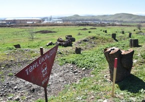 Environmental damage from Armenian occupation of Azerbaijani territories reaches $9.5B