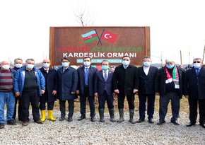 Kocaelidə Azərbaycan-Türkiyə qardaşlıq meşəsi salınıb