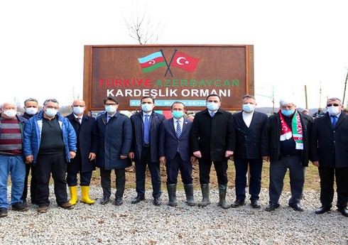 В Коджаэли заложен лес азербайджано-турецкого братства