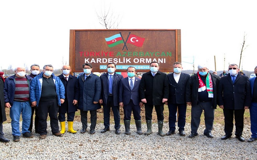 Forest of Azerbaijan-Turkey friendship planted in Kocaeli
