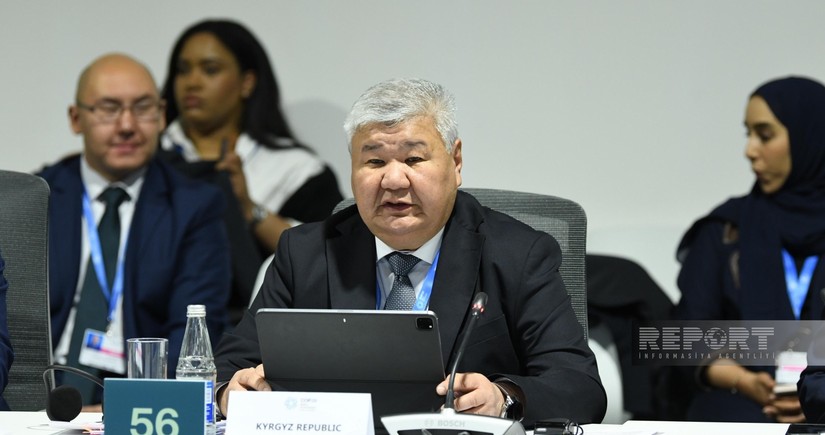 Kyrgyz Energy Ministry: Development of green energy corridors - key aspect of solving climate issues