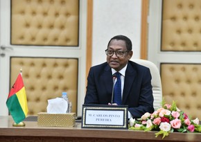 FM: Guinea-Bissau interested in Azerbaijan's ASAN service model