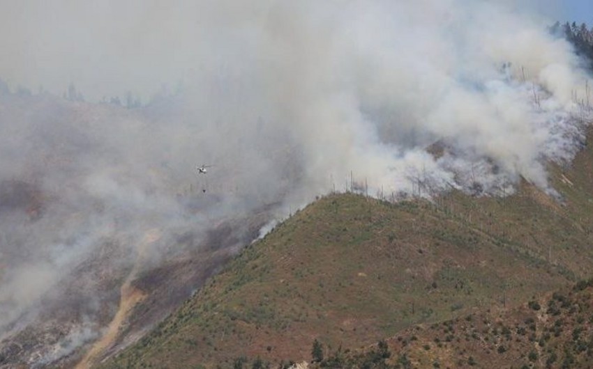 Fire put out in Borjomi region of Georgia