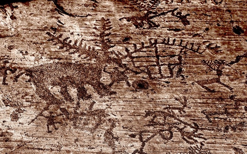 İtalyanın Romanelli mağarasında Qobustan qayaüstü təsvirlərinə bənzəyən nadir sənət əsərləri tapılıb