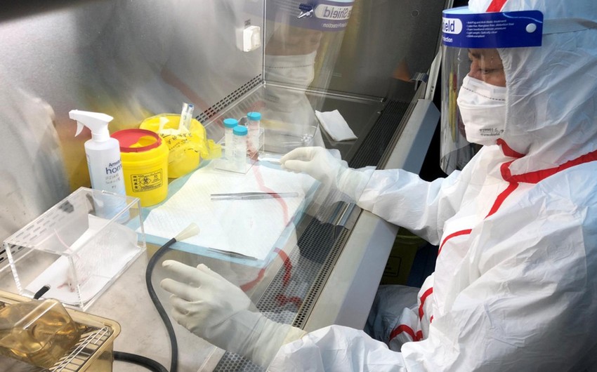 Çinli tədqiqatçılar: Koronavirus təbii yolla yaranıb