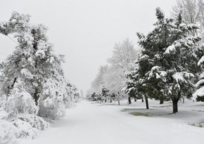 This evening Azerbaijan welcomes winter season