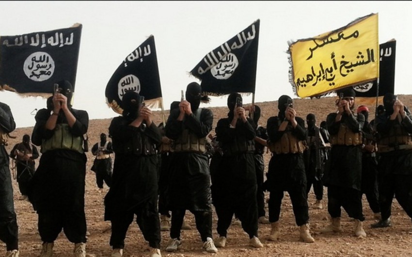 More than 500 women from Western Europe joined ISIS