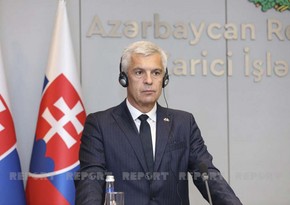 Slovak FM: Azerbaijan is important partner in region