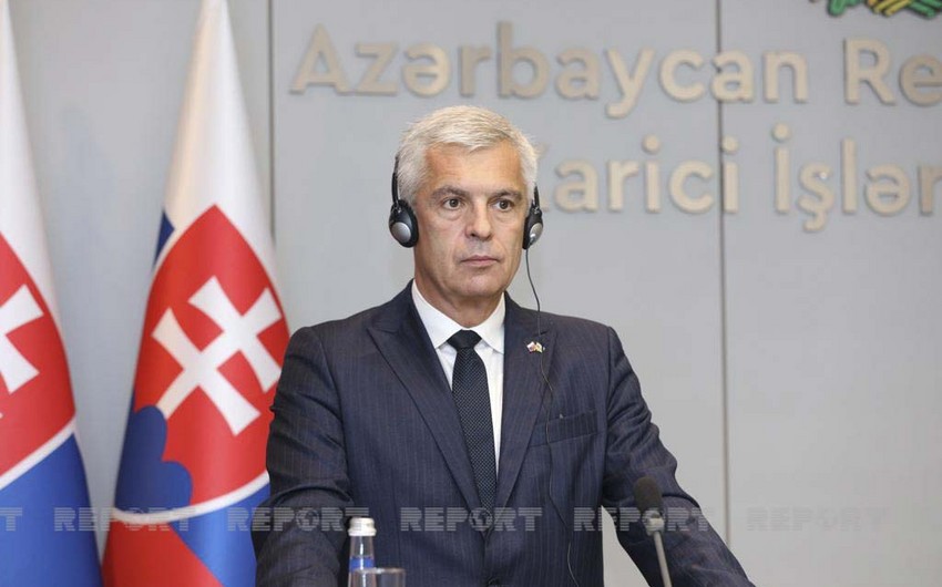 Slovak FM: Azerbaijan is important partner in region