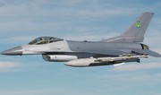 Dutch Defense Ministry confirms delivery of first F-16s to Ukraine