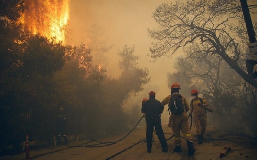 Греческий министр подал в отставку из-за лесных пожаров