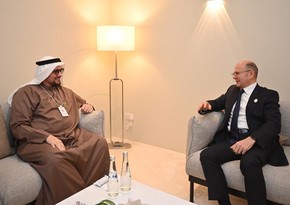 Azerbaijan, UAE want to accelerate implementation of green energy projects