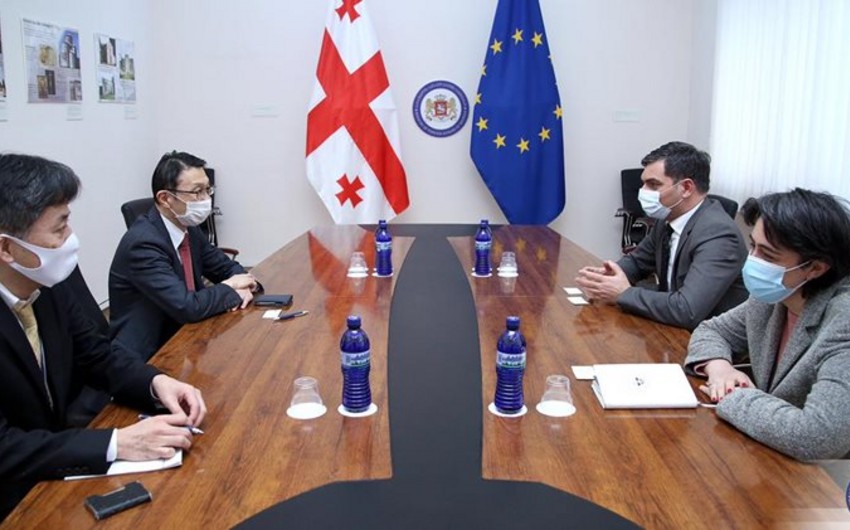 Georgia to deepen cooperation in GUAM-Japan format