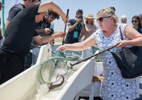 5,000 sturgeons released into Caspian Sea as part of CANSO event