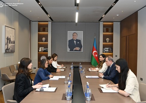 Глава МИД Азербайджана обсудил с региональным директором ООН подготовку к COP29