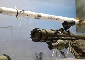 Lithuania, 3 other countries to jointly purchase Piorun air defense systems
