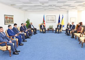 Обсуждены приоритетные направления сотрудничества между Азербайджаном и Боснией и Герцеговиной