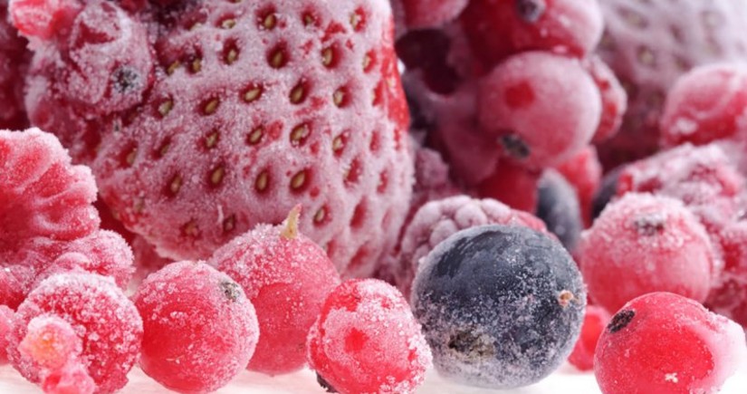 Морозы в Чехии уничтожили более 100 тыс. тонн урожая фруктов