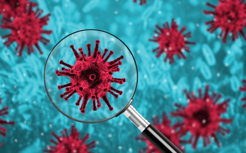 Scientists reveal coronavirus camouflage that will aid hunt for vaccine