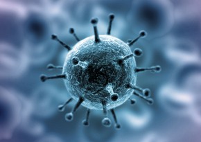 В Великобритании нашли еще одну разновидность коронавируса
