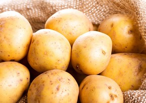 Kartofu düzgün saxlamadıqda hansı xəstəliklərə səbəb olur? 