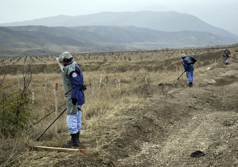 В Азербайджане до 2026 года планируется очистить от мин 280 тыс. гектаров территории 