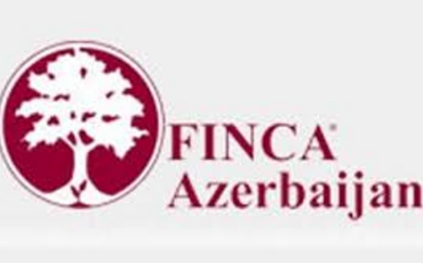 Finca Azerbaijan tender elan edib