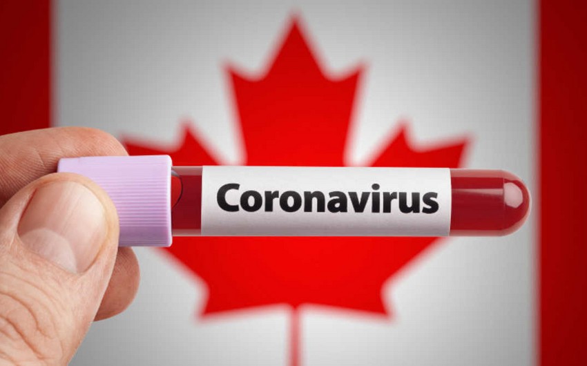 В Канаде число зараженных COVID-19 превысило 83,6 тыс человек