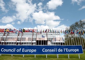 Совет Европы приостановил сотрудничество с Беларусью