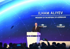 President Ilham Aliyev: If there was no Turkish-Azerbaijani brotherhood, TANAP could remain on paper