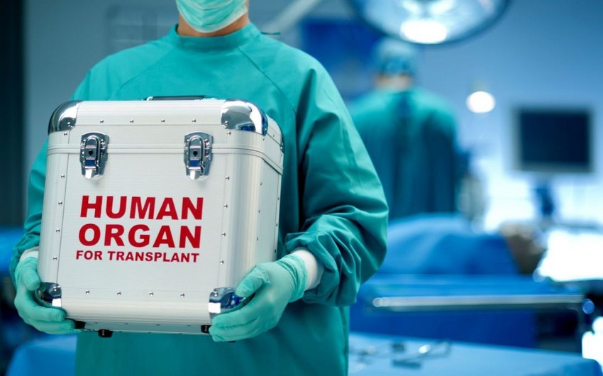 Milli Məclisin deputatı transplantasiya ilə bağlı yeni qanun layihəsinə qarşı çıxıb