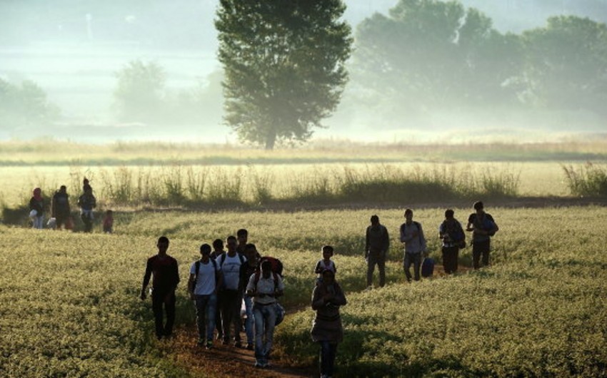 МИД: Македония может возвести забор на границе из-за наплыва мигрантов