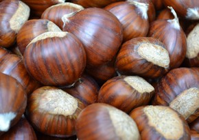 Azerbaijan increases imports of chestnuts from Türkiye 6 times