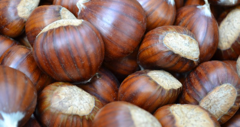 Azerbaijan increases imports of chestnuts from Türkiye 6 times