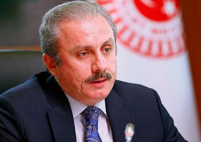 Спикер парламента Турции посетит с официальным визитом Грузию