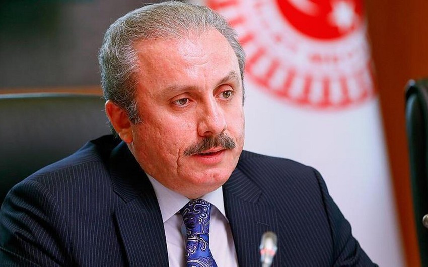 Спикер парламента Турции посетит с официальным визитом Грузию