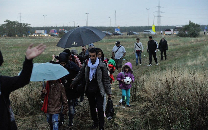 Over 800 ths people applied for refugee status in Europe this year