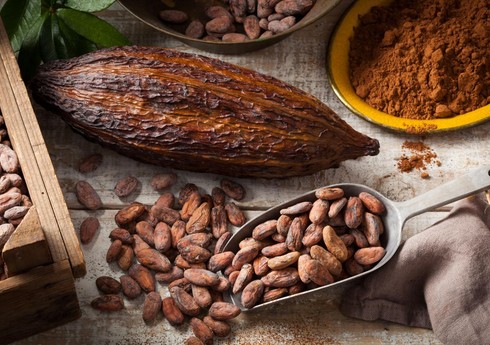 Стоимость какао-бобов обновила исторический максимум