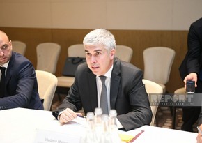 Minister: Bulgaria to play important role in export of green energy from Azerbaijan