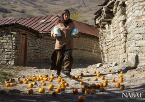 Nabat film wins award in Iran