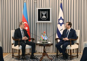Глава МИД Азербайджана обсудил с президентом Израиля многостороннее сотрудничество