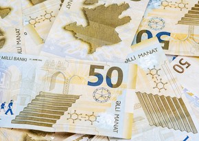 Azerbaijani manat strengthens against most foreign currencies year-on-year - MONITORING