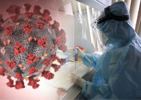 China finds new coronavirus subtype