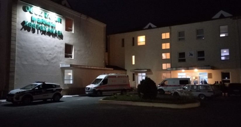 Oğuzda qarşısına at çıxan avtomobil qəzaya düşüb, xəsarət alanlar var