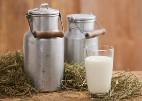 Azerbaijan increases export of milk, cream to Georgia by 37 times