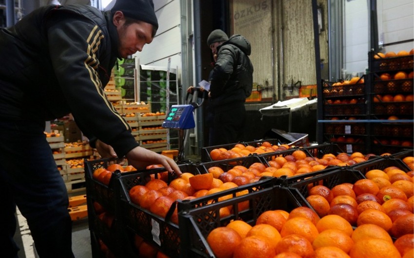 ​Россия с 1 января запретила ввоз овощей, фруктов, мяса птицы и соли из Турции