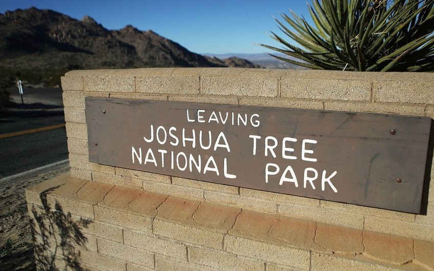 В США из-за шатдауна закроется национальный парк Джошуа-Три